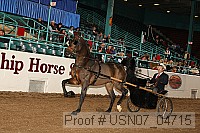 usn07_04715 proof