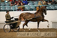 usn07_j04518 proof