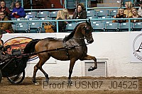 usn07_j04525 proof