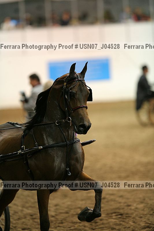 Proof usn07_j04528