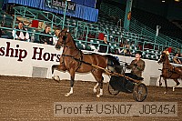 usn07_j08454 proof