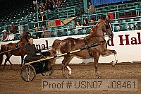 usn07_j08461 proof