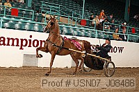 usn07_j08488 proof
