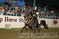 usn07_12690 proof