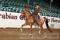 usn07_01666 proof