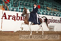 usn07_01667 proof