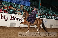 usn07_01673 proof
