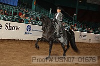 usn07_01676 proof