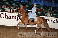 usn07_01680 proof