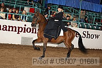 usn07_01681 proof