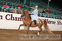 usn07_01691 proof