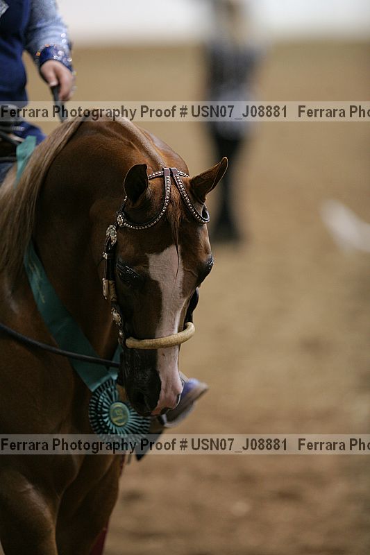 Proof usn07_j08881