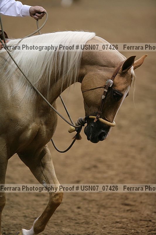 Proof usn07_07426