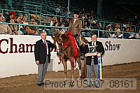 usn07_08161 proof