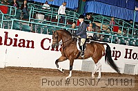 usn07_j01181 proof