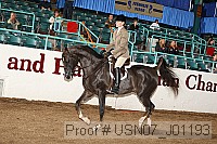 usn07_j01193 proof