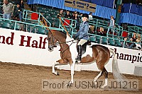 usn07_j01216 proof