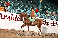 usn07_j01218 proof