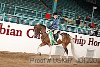 usn07_j01220 proof