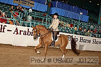usn07_j01229 proof