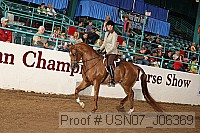 usn07_j06369 proof