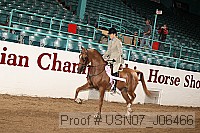 usn07_j06466 proof