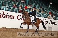 usn07_j01421 proof