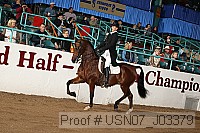 usn07_j03379 proof