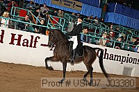 usn07_j03380 proof