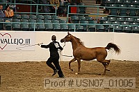 usn07_01005 proof