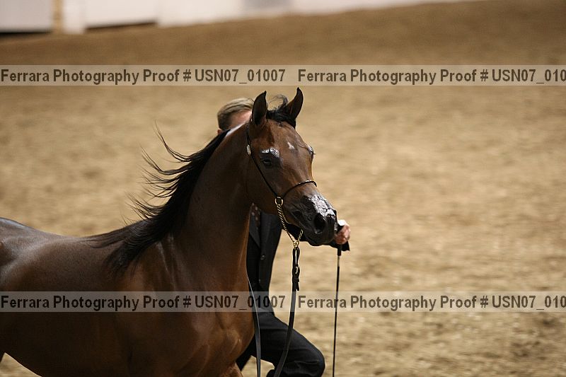 Proof usn07_01007