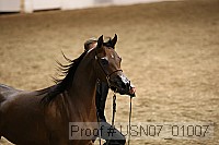 usn07_01007 proof