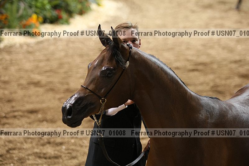 Proof usn07_01008
