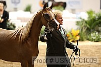 usn07_01009 proof