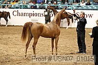 usn07_01015 proof
