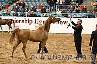 usn07_01016 proof