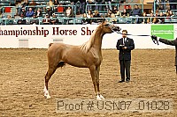 usn07_01028 proof