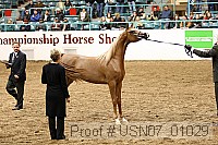 usn07_01029 proof
