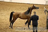 usn07_01037 proof