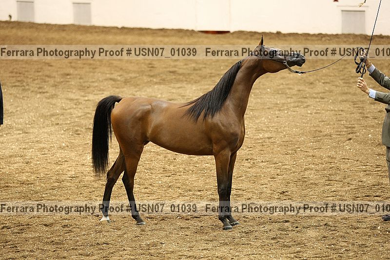 Proof usn07_01039