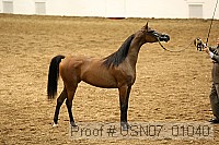 usn07_01040 proof