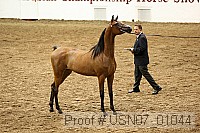 usn07_01044 proof