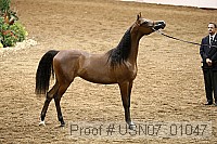 usn07_01047 proof