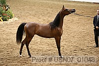 usn07_01048 proof