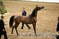 usn07_01049 proof
