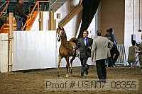 usn07_08355 proof