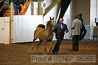 usn07_08356 proof