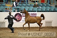 usn07_08357 proof