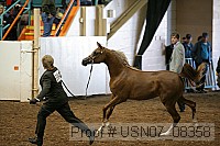usn07_08358 proof