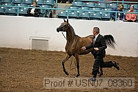 usn07_08360 proof